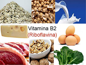 Alimente bogate in Vitamina B2