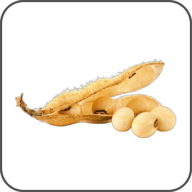 Izoflavone din soia